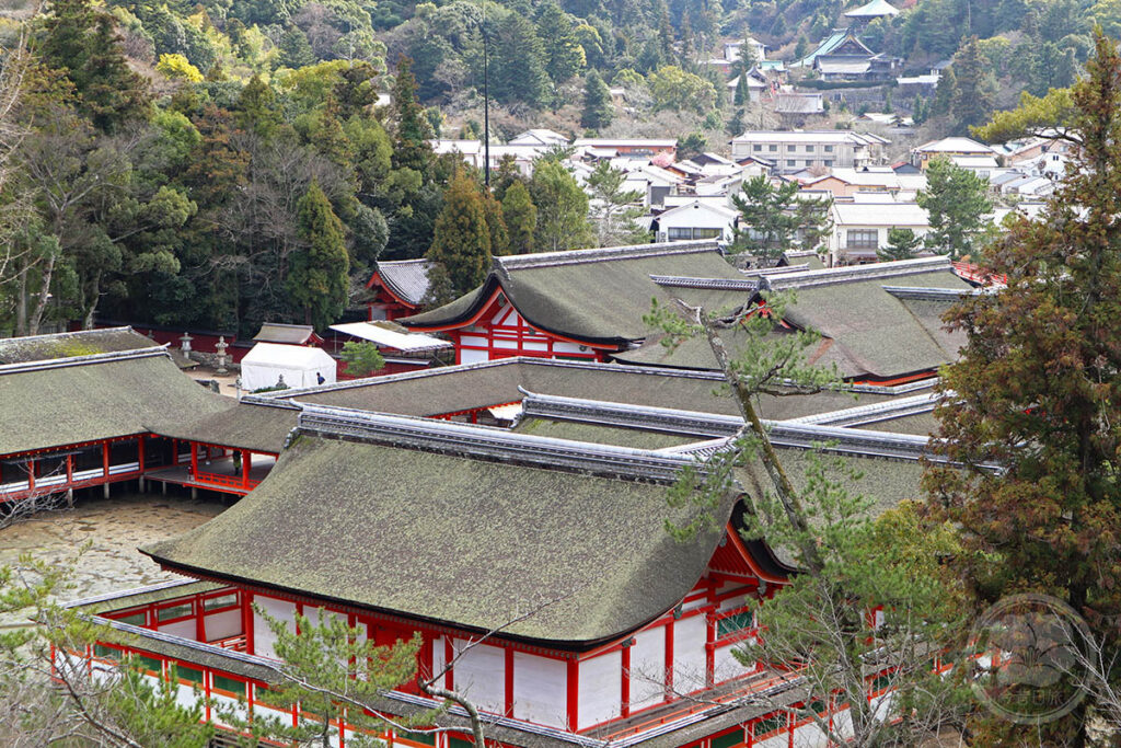俯瞰嚴島神社屋頂